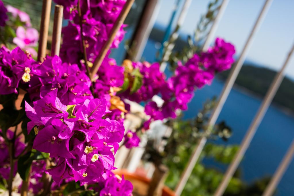 Apartment Love And Hope Dubrovnik Luaran gambar